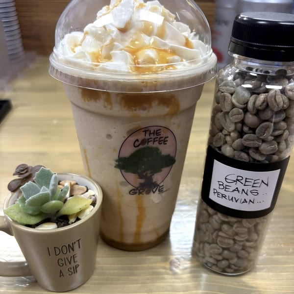 A Coffee Grove Corp frappe with whipped cream, green coffee beans, and a succulent plant.